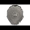 Lion Head 3Oz Silver Coin Obverse