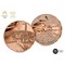 CL 2024 Paris Olympics Coin Range NEW NEW 3