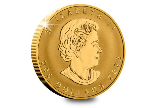 https://www.westminstercollection.com/media/52249805/canada-2022-ultra-high-relief-maple-leaf-gold-1oz-obv.jpg?height=450&bgcolor=fff