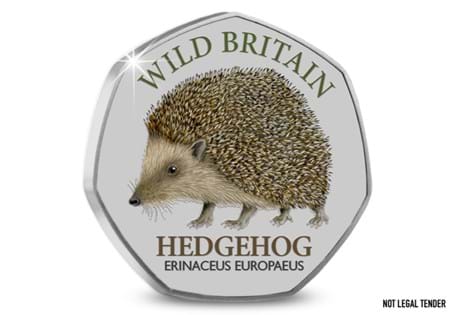 This is the first commemorative in the Wild Britain Commemorative Collection. It features a Common Hedgehog as illustrated by Valerie Harrison.
