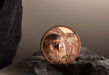 Mongolia's National Bird, struck from 50g of copper, this one-of-a-kind coin of the Saker Falcon features Smartminting technology to ensure the finest of detail. Edition limit: 5000