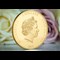 Princess Diana Supersized 5 Dollar Lifestyle 02
