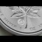 Canada 2024 Maple Leaf Bullion Coin Lifestyle 04