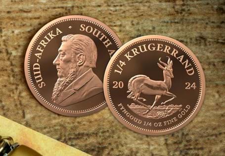 The South African Krugerrand is the most popular and numerous one ounce bullion gold coin in the world. This 1/4oz Gold coin has been issued for 2024. Edition Limit: 2,000.