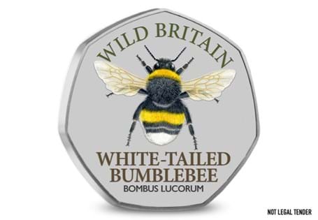The White Tailed Bumblebee is a true gem of the Great British countryside. You can celebrate it on this commemorative featuring vivid colour artwork by renowned artist, Valerie Harrison. 