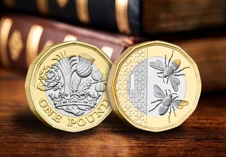 This frame contains the UK 2023 King Charles Bee £1 coin alongside the UK 2017 £1 coin - the new designs in Britain.