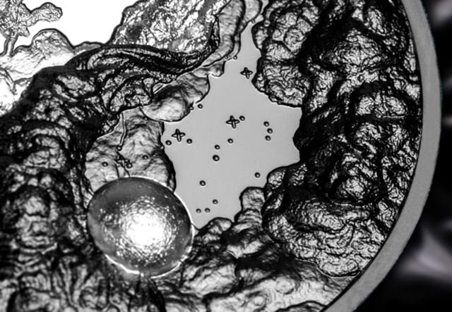 2024 Yin And Yang Silver 1Oz Lifestyle 04