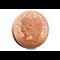 Charles And Camilla Gold £5 (Falklands) Rev