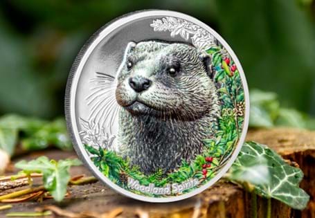 Struck from 1oz of Pure Fine Silver, this beautifully crafted coin pays tribute to the gentle charm of the otter. Finished to a coloured proof standard, it features detailing and a woodland backdrop.