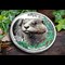 2026 Woodland Spirits Otter Silver 1Oz Lifestyle 02