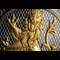 Close Up Lion
