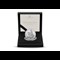 TWC Silver Piedfort UK 2025 Queen Victoria's 125Th Box