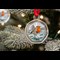 2025 Robin 50P In Bauble SINGLE Lifestyle 2