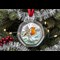 2025 Robin 50P In Bauble SINGLE Lifestyle 3