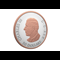2026 Canada Maple Leaves In Motion Obverse