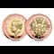 2025 QEII 100 Gold £1 Obv Rev 3